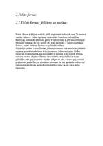 Referāts 'Valsts funkcijas un formas', 5.