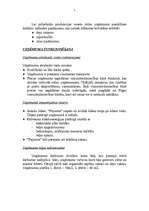 Biznesa plāns 'Kafejnīca "Pajumte"', 7.