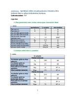 Konspekts 'Seklo un pāļa pamatu aprēķins', 2.