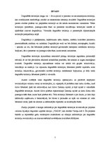 Referāts 'Degradētas teritorijas revitalizācijas projekts Rēzeknes pilsētas Ziemeļu rajonā', 5.