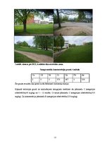 Referāts 'Degradētas teritorijas revitalizācijas projekts Rēzeknes pilsētas Ziemeļu rajonā', 12.