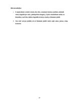 Referāts 'Degradētas teritorijas revitalizācijas projekts Rēzeknes pilsētas Ziemeļu rajonā', 19.