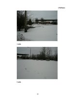 Referāts 'Degradētas teritorijas revitalizācijas projekts Rēzeknes pilsētas Ziemeļu rajonā', 25.