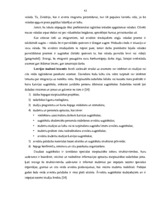 Diplomdarbs 'Darbaspēka migrācijas noteicošie faktori un tās ietekme uz Latvijas tautsaimniec', 43.