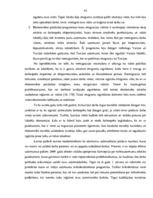 Diplomdarbs 'Darbaspēka migrācijas noteicošie faktori un tās ietekme uz Latvijas tautsaimniec', 65.