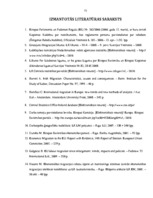 Diplomdarbs 'Darbaspēka migrācijas noteicošie faktori un tās ietekme uz Latvijas tautsaimniec', 72.