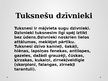 Prezentācija 'Tuksneši', 12.
