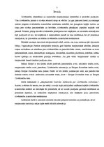 Referāts 'Starptautiskās kontroles mehānisms par cilvēktiesību ievērošanu', 3.