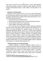 Referāts 'Starptautiskās kontroles mehānisms par cilvēktiesību ievērošanu', 17.