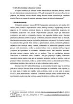 Referāts 'Starptautiskās kontroles mehānisms par cilvēktiesību ievērošanu', 20.