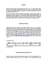 Eseja 'Jūgenstils', 2.