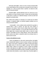 Konspekts 'Personas apģērba analīze', 2.