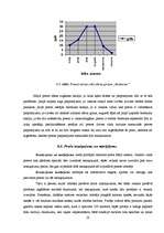 Prakses atskaite 'SIA "Akropole"', 20.