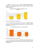 Referāts 'Z/s "Dālderi" finanšu stāvokļa analīze par periodu no 2006. līdz 2008.gadam', 20.