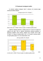 Referāts 'Z/s "Dālderi" finanšu stāvokļa analīze par periodu no 2006. līdz 2008.gadam', 22.