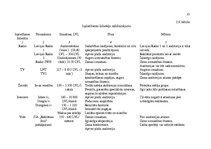 Diplomdarbs 'Reklāmas nozīme uzņēmējdarbībā', 52.