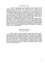 Referāts 'Grieķu tempļu arhitektūra', 8.