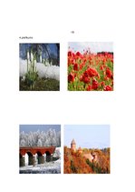 Prezentācija 'Logopēdijas darbs', 13.