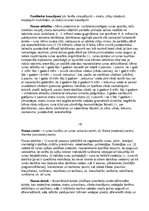 Prezentācija 'Logopēdijas darbs', 18.