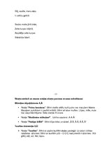 Prezentācija 'Logopēdijas darbs', 20.