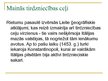 Prezentācija 'Renesanses ietekme uz lielajiem ģeogrāfiskajiem atklājumiem', 8.