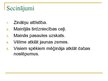 Prezentācija 'Renesanses ietekme uz lielajiem ģeogrāfiskajiem atklājumiem', 11.