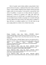 Referāts 'Populisms pēckrīzes (2007.-2008.g.) periodā: sociālekonomiskās sekas vai domino ', 7.