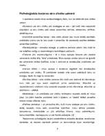 Referāts 'Sociālā percepcija', 9.