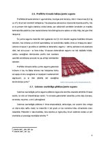 Referāts 'Jumtu segumi', 9.