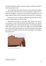 Referāts 'Jumtu segumi', 14.