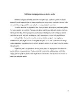 Referāts 'Reklāmas kampaņas plānošana uzņēmumā', 11.