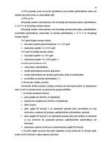 Diplomdarbs 'Nodokļu likumdošanas pielietošana uzņēmumā A/S „L&T Hoetika”', 19.