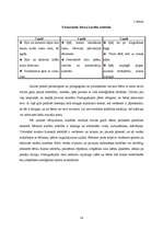 Diplomdarbs 'Pirmsskolas bērna darbaudzināšana', 18.