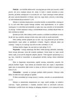 Diplomdarbs 'Pirmsskolas bērna darbaudzināšana', 21.