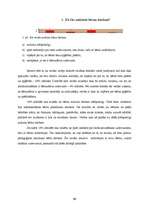 Diplomdarbs 'Pirmsskolas bērna darbaudzināšana', 69.