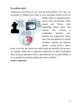 Eseja 'Sliktais indekss. Pozitīva un negatīva recenzija', 4.