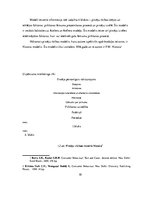 Diplomdarbs 'Pirkšanas lēmuma pieņemšanas process apģērba iegādē internetā', 10.