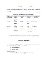 Diplomdarbs 'Pirkšanas lēmuma pieņemšanas process apģērba iegādē internetā', 12.