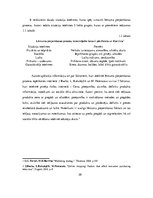 Diplomdarbs 'Pirkšanas lēmuma pieņemšanas process apģērba iegādē internetā', 20.