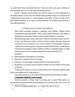 Referāts 'Pirmsskolas vecuma bērnu socializācija jaunā vidē', 9.