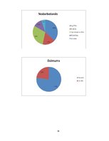 Referāts 'Pirmsskolas vecuma bērnu socializācija jaunā vidē', 24.