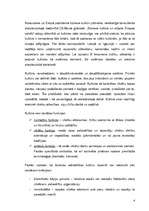 Referāts 'Kāpēc biznesā ir tik svarīgi izprast svešu biznesa kultūru?', 4.