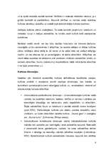 Referāts 'Kāpēc biznesā ir tik svarīgi izprast svešu biznesa kultūru?', 6.