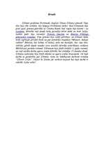 Referāts 'Čārlza Dikensa romāns “Olivers Tvists”', 7.