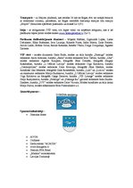 Paraugs 'Jauno dizaineru modes skate "Jūras valdzinājums"', 2.