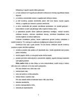 Referāts 'Investīcijas, to efektivitātes novērtēšana', 8.