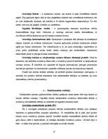 Referāts 'Investīcijas, to efektivitātes novērtēšana', 14.