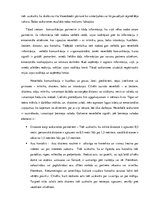 Eseja 'Cilvēka mijiedarbība saskarsmē', 2.