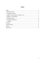 Referāts 'Homeopātisko preparātu lietošana kā darba vides uzlabojošs faktors', 2.