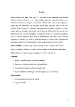 Referāts 'Homeopātisko preparātu lietošana kā darba vides uzlabojošs faktors', 3.